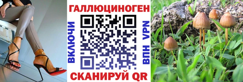 Купить  Армавир  Галлюциногенные грибы мухоморы 